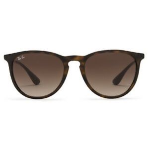 Ray-ban Erika Sunglasses